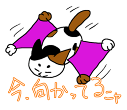 Hutch the CalicoCat sticker #3314571