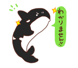 killer whales&Dolphin&Talk sticker #3317867