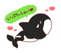 killer whales&Dolphin&Talk sticker #3317870