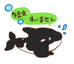 killer whales&Dolphin&Talk sticker #3317875
