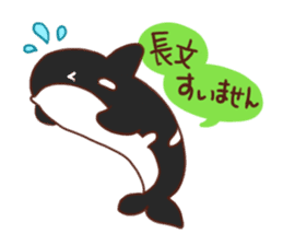 killer whales&Dolphin&Talk sticker #3317877