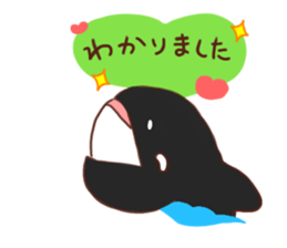 killer whales&Dolphin&Talk sticker #3317881