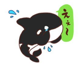 killer whales&Dolphin&Talk sticker #3317887
