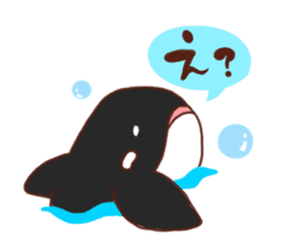killer whales&Dolphin&Talk sticker #3317889