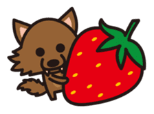 Strawberry hood sticker #3320792