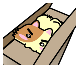 chaco sticker sticker #3328198