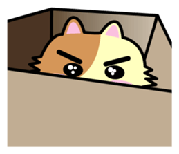 chaco sticker sticker #3328199