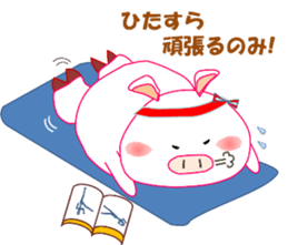 White pig PIGPON(winter series) sticker #3328449