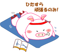 White pig PIGPON(winter series) sticker #3328449