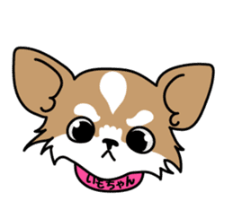 Cute but Lazy dog "imochan" sticker #3328500