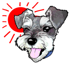 Miniature Schnauzer English ver. sticker #3328898