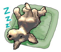 Miniature Schnauzer English ver. sticker #3328899