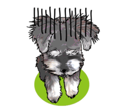 Miniature Schnauzer English ver. sticker #3328900