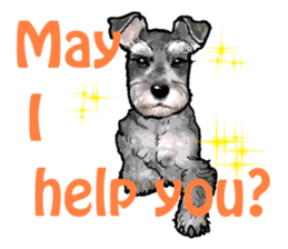 Miniature Schnauzer English ver. sticker #3328903