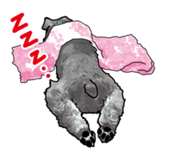 Miniature Schnauzer English ver. sticker #3328906