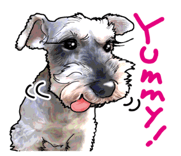 Miniature Schnauzer English ver. sticker #3328908