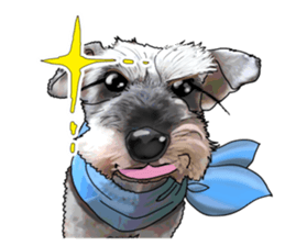 Miniature Schnauzer English ver. sticker #3328913