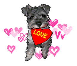 Miniature Schnauzer English ver. sticker #3328916