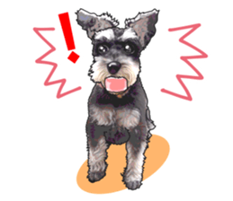 Miniature Schnauzer English ver. sticker #3328918