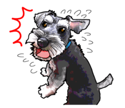 Miniature Schnauzer English ver. sticker #3328925