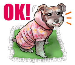 Miniature Schnauzer English ver. sticker #3328931