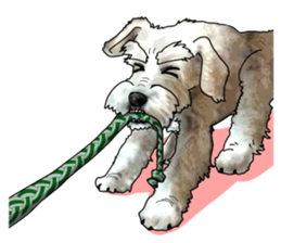 Miniature Schnauzer English ver. sticker #3328933