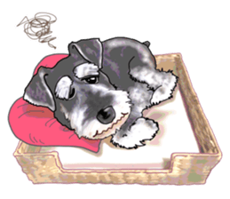 Miniature Schnauzer English ver. sticker #3328937