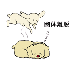 Welcome to Spiritual Nature and Animals. sticker #3330354