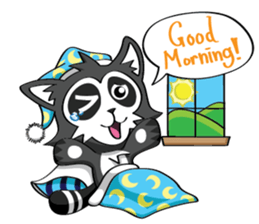 Daccoon Panda & Raccoon sticker #3331327