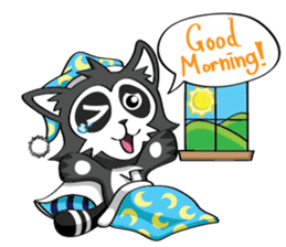 Daccoon Panda & Raccoon sticker #3331327