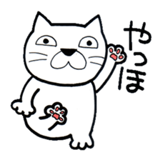 Plain-Looking Cat sticker #3333938