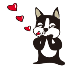 boschee of the Boston terrier sticker #3336883