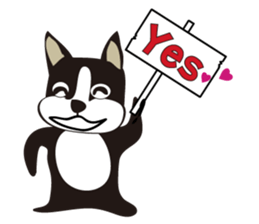 boschee of the Boston terrier sticker #3336884