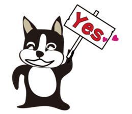 boschee of the Boston terrier sticker #3336884