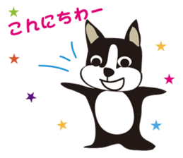 boschee of the Boston terrier sticker #3336885