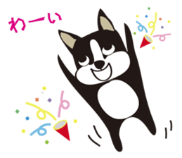 boschee of the Boston terrier sticker #3336887