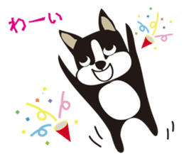 boschee of the Boston terrier sticker #3336887