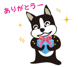 boschee of the Boston terrier sticker #3336889