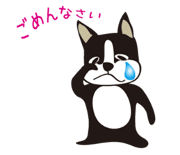 boschee of the Boston terrier sticker #3336890