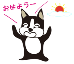 boschee of the Boston terrier sticker #3336892