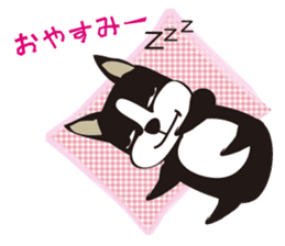 boschee of the Boston terrier sticker #3336893