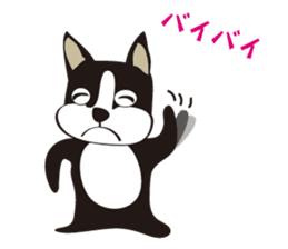 boschee of the Boston terrier sticker #3336894