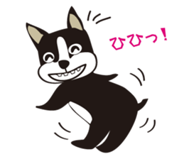 boschee of the Boston terrier sticker #3336895