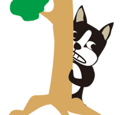 boschee of the Boston terrier sticker #3336897