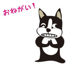 boschee of the Boston terrier sticker #3336901