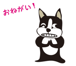 boschee of the Boston terrier sticker #3336901