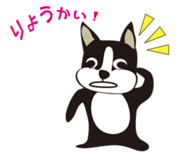 boschee of the Boston terrier sticker #3336904