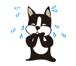 boschee of the Boston terrier sticker #3336907