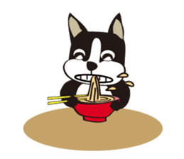 boschee of the Boston terrier sticker #3336908