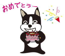 boschee of the Boston terrier sticker #3336909